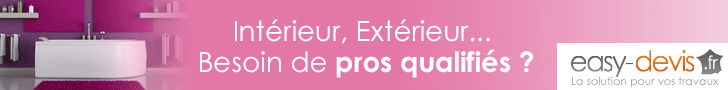 Fenêtres