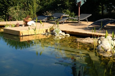 Une piscine écologique sans plantes ? C’est possible !