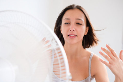 Bien isoler sa maison pour se protéger de la chaleur