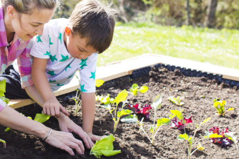 Qu’est-ce que la permaculture ?