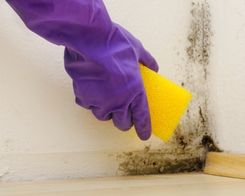 Infiltrations : traitez efficacement vos murs contre l’humidité